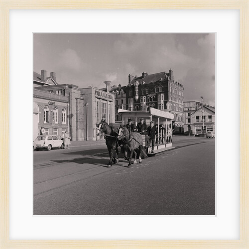 Tram horses (mother and son) by Manx Press Pictures