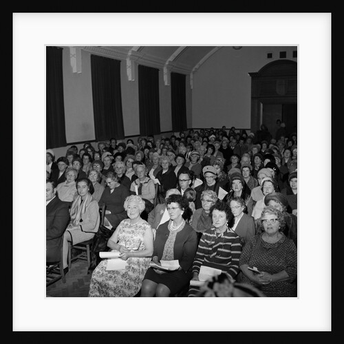 Ballamona League of Friends by Manx Press Pictures