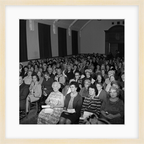 Ballamona League of Friends by Manx Press Pictures