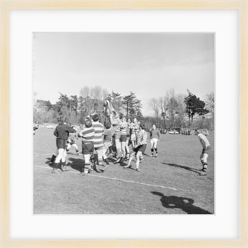 Rugby Sevens, Isle of Man by Manx Press Pictures