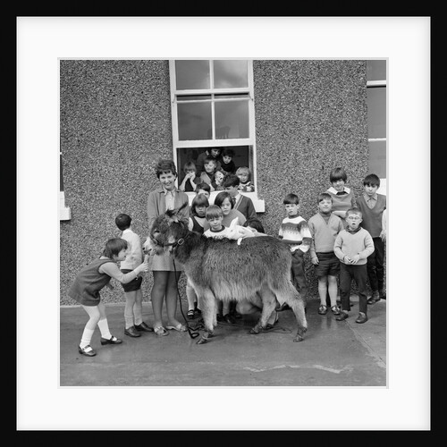 Donkey with children, Isle of Man by Manx Press Pictures
