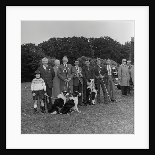 Irish National Sheep Dog Trials by Manx Press Pictures