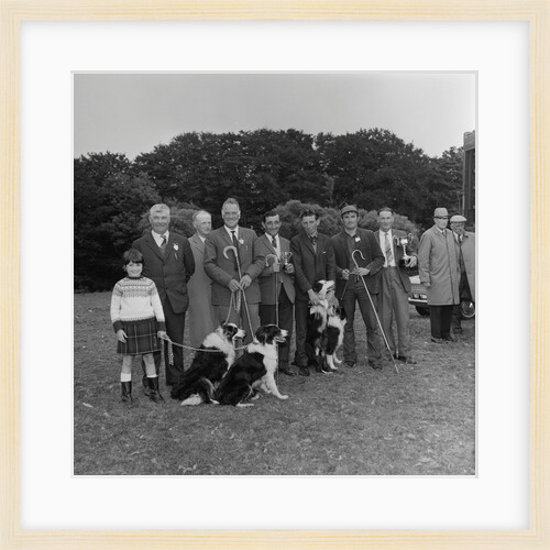 Irish National Sheep Dog Trials by Manx Press Pictures