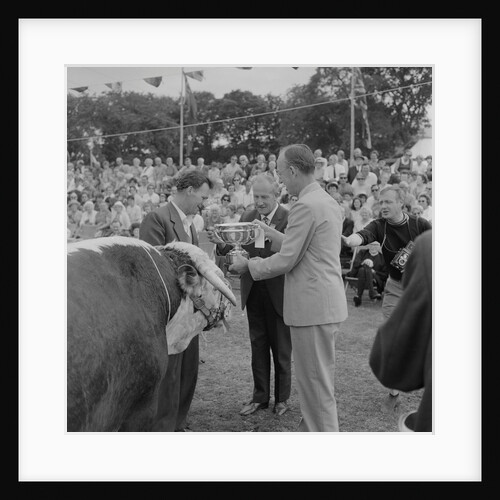 Royal Manx Show by Manx Press Pictures
