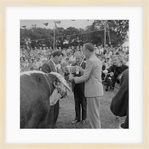 Royal Manx Show by Manx Press Pictures