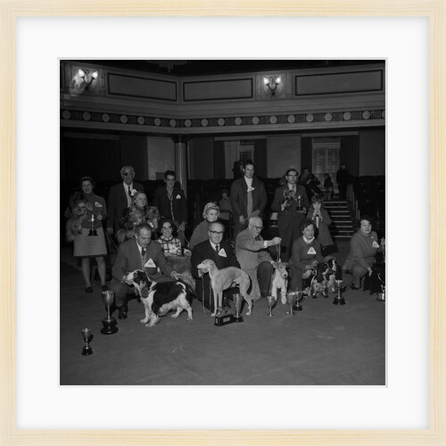 Dog Show, Villa Marina, Douglas by Manx Press Pictures