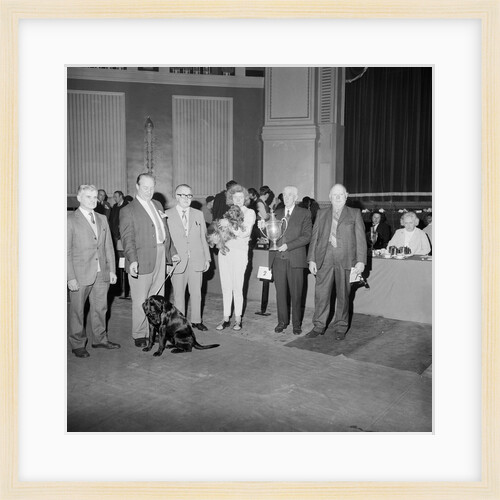 Dog Show, Villa Marina, Douglas by Manx Press Pictures