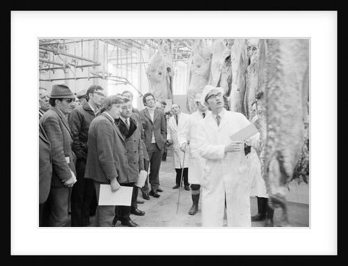 Beef at abattoir, Isle of Man by Manx Press Pictures