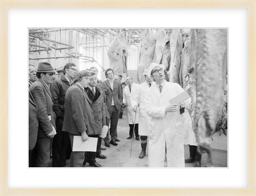 Beef at abattoir, Isle of Man by Manx Press Pictures