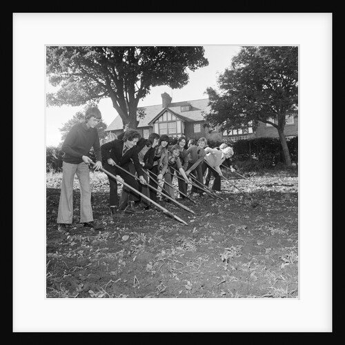 Douglas High School garden nursery by Manx Press Pictures
