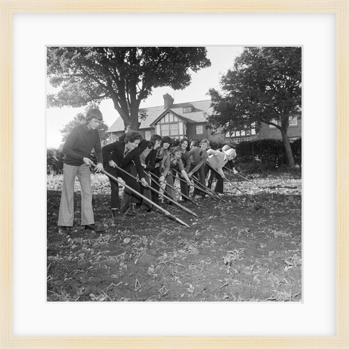 Douglas High School garden nursery by Manx Press Pictures