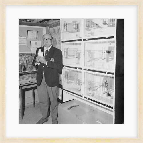 Birds in aviary, Onchan by Manx Press Pictures