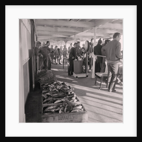 Herring fishing by Manx Press Pictures