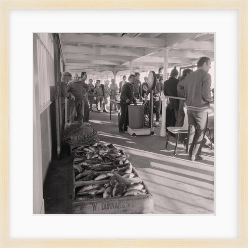 Herring fishing by Manx Press Pictures