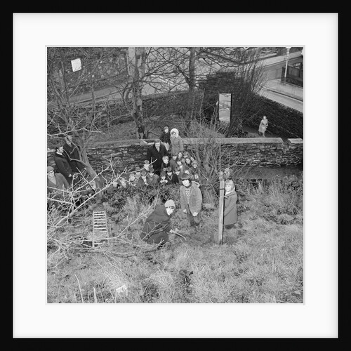 Tree planting, Manx Museum, Douglas by Manx Press Pictures