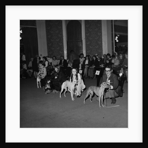 Dog Show, Villiers hotel by Manx Press Pictures