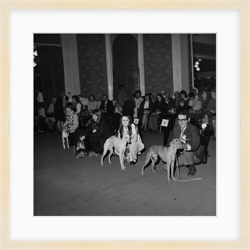Dog Show, Villiers hotel by Manx Press Pictures