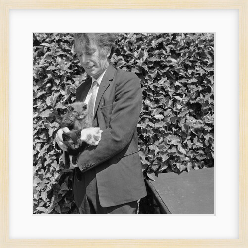 Manx cats for Government Office by Manx Press Pictures