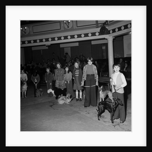 Dog Show, Villa Marina, Douglas by Manx Press Pictures