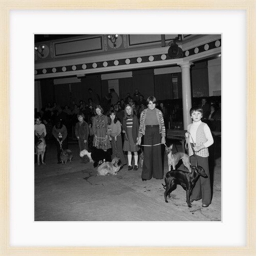 Dog Show, Villa Marina, Douglas by Manx Press Pictures