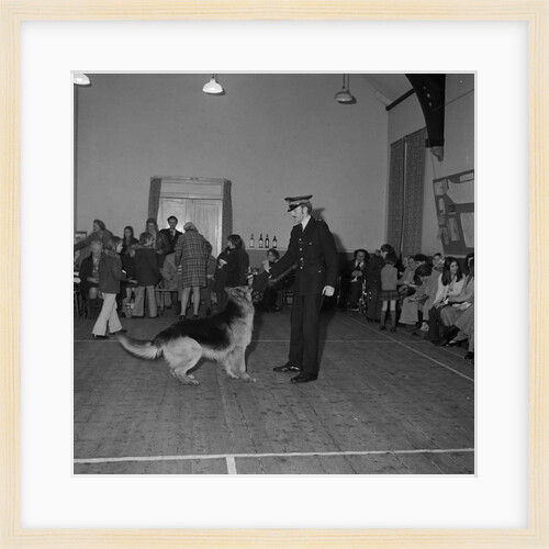 Ramsey dog handlers, St Olave's Hall, Isle of Man by Manx Press Pictures