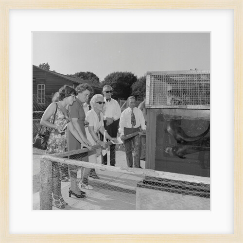 Curraghs Wildlife Park dries-up by Manx Press Pictures