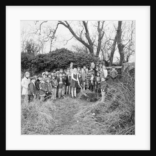 Kewaigue tree planting by Manx Press Pictures