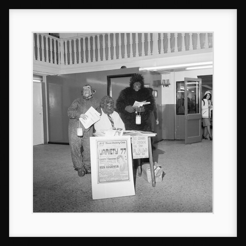 'Monkeys at Shoprite' by Manx Press Pictures