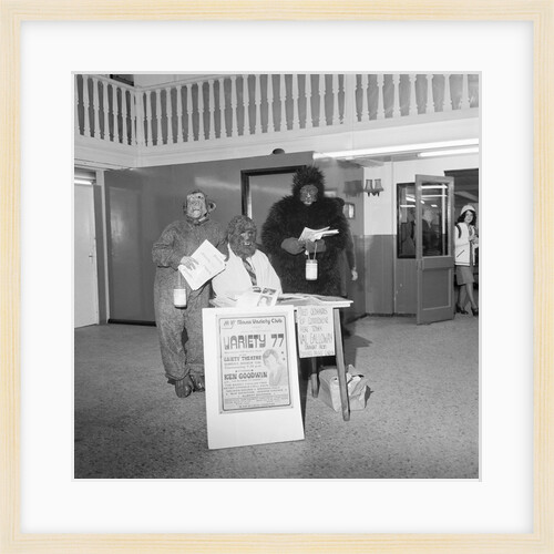 'Monkeys at Shoprite' by Manx Press Pictures