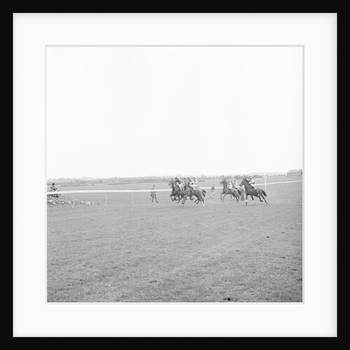Horse racing at Great Meadow, Isle of Man by Manx Press Pictures