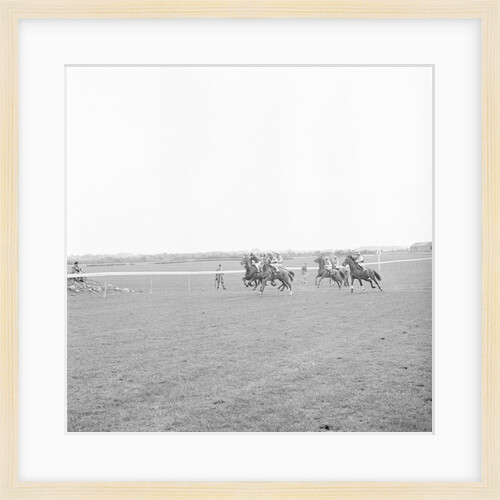 Horse racing at Great Meadow, Isle of Man by Manx Press Pictures