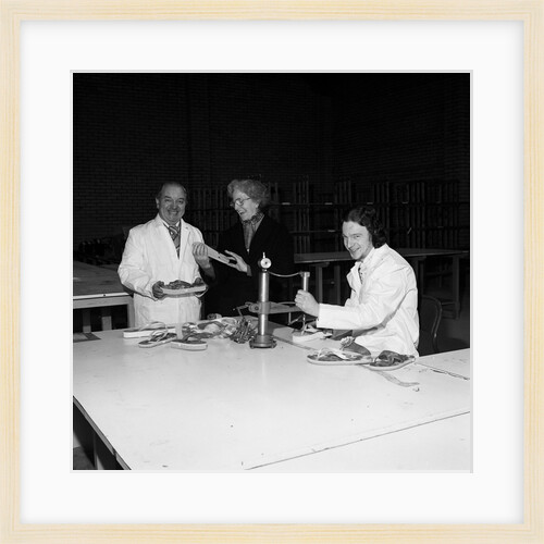 Flip-Flop Factory, Hills Meadow, Isle of Man by Manx Press Pictures