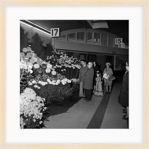 Melliah at Foresters Arms by Manx Press Pictures