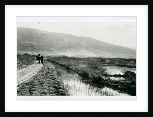 Ballaugh Curraghs by George Bellett Cowen
