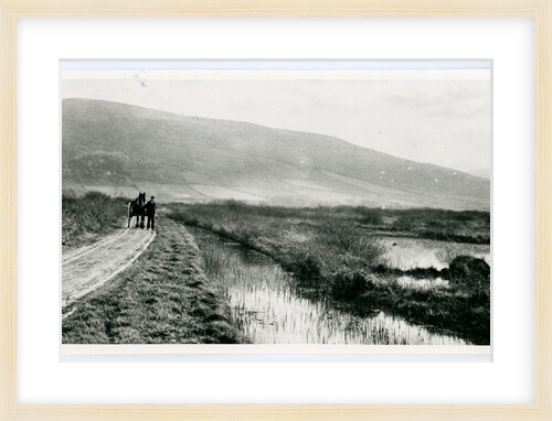 Ballaugh Curraghs by George Bellett Cowen