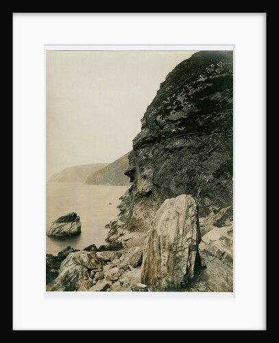 Last nesting place of the golden eagle, near Fleshwick by George Bellett Cowen