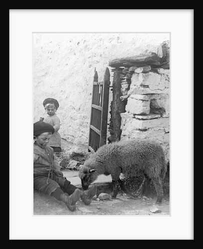Pet Lamb at Fistard by Archibald Knox
