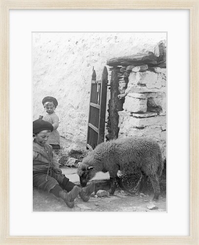 Pet Lamb at Fistard by Archibald Knox