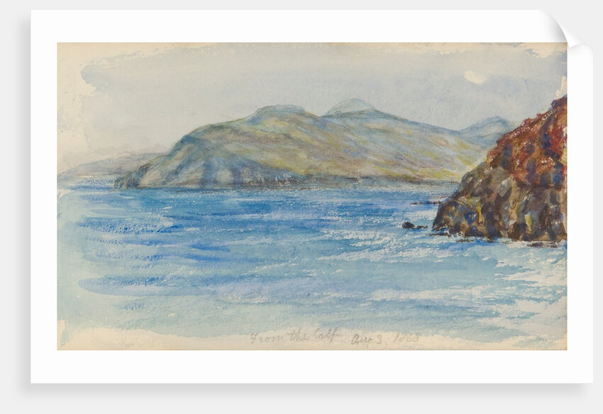 From the Calf by Unknown