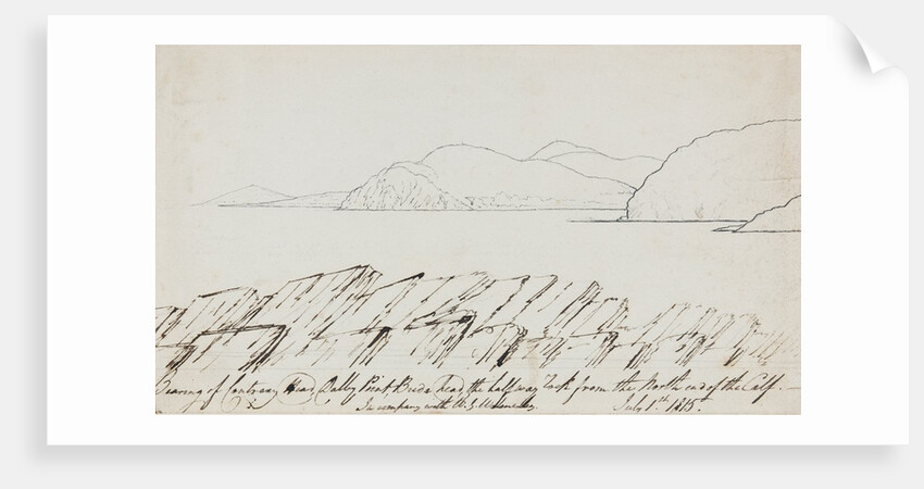 Contrary Head, Patrick by Will Latham