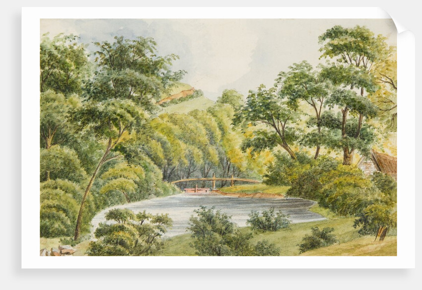 Mill down in Glen Auldyn by Unknown