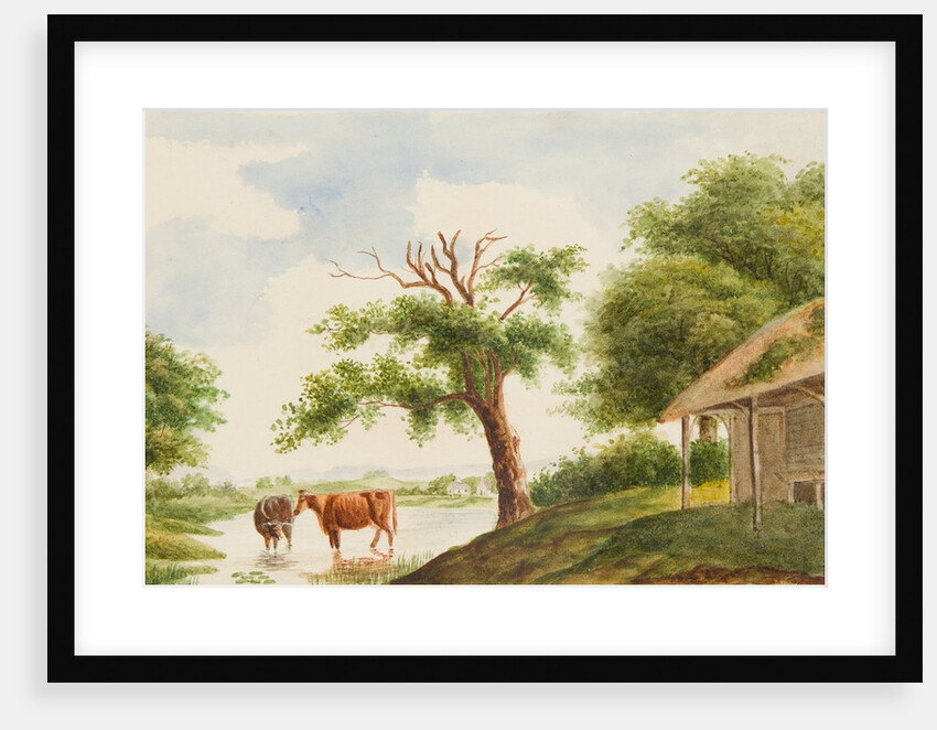 Unidentified landscape by Unknown