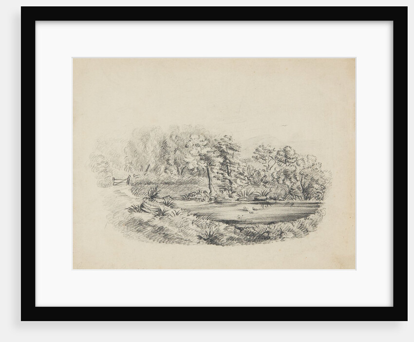 Ballamoar, Isle of Man. View of pond with ducks, surrounded by tall trees and greenery by Unknown