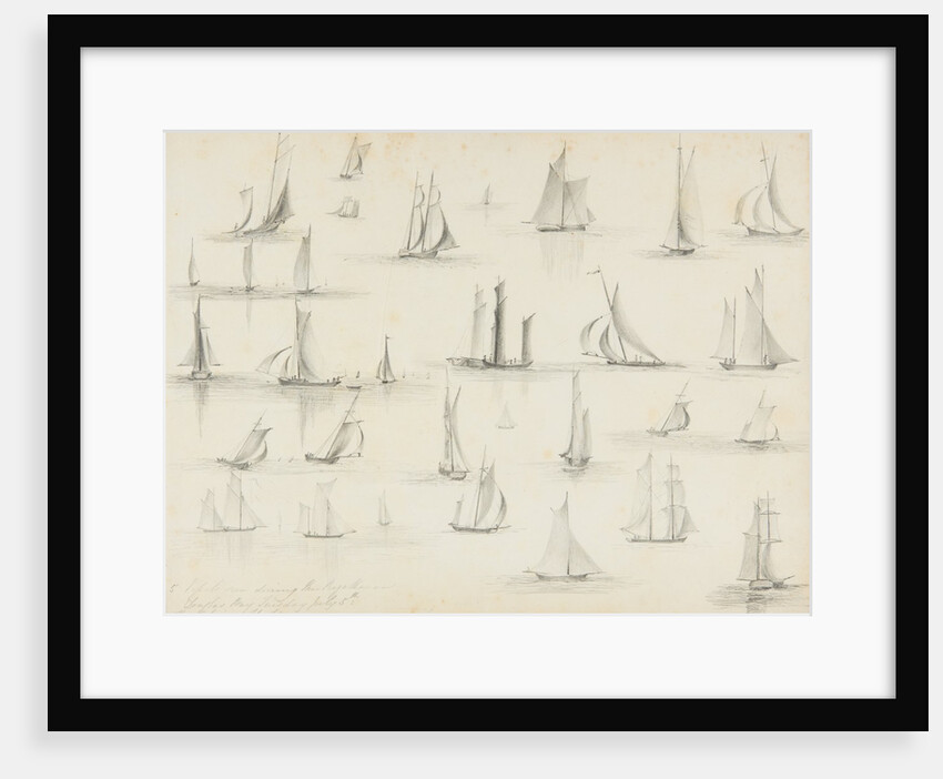 Vessels seen during the Regatta, Douglas Bay - the Tribune and the Iris by Unknown