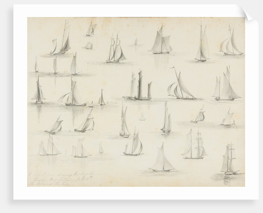 Vessels seen during the Regatta, Douglas Bay - the Tribune and the Iris by Unknown