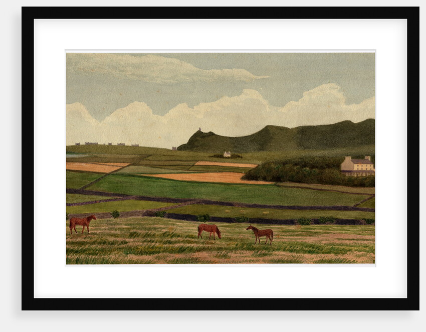 Bradda Head by Robert Evans Creer