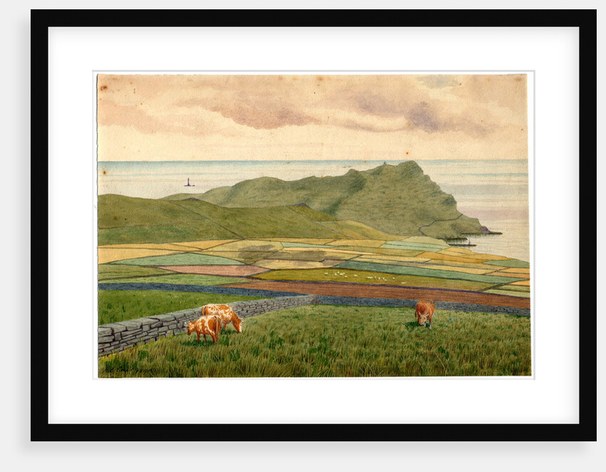 Calf of Man From Cregneash by Robert Evans Creer