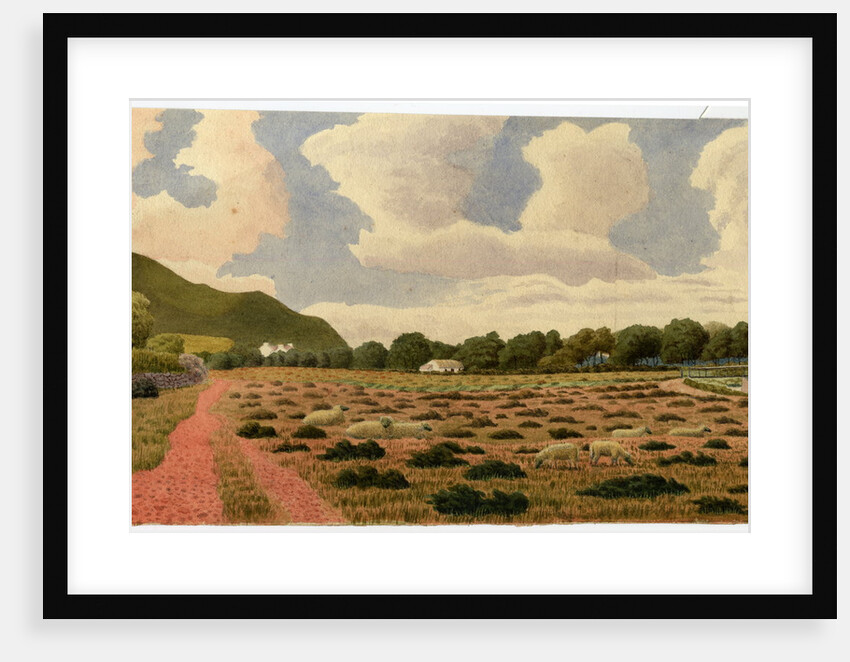 Untitled by Robert Evans Creer