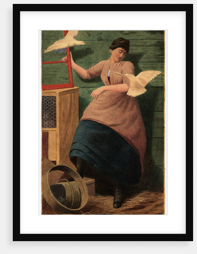 Doves by Robert Evans Creer