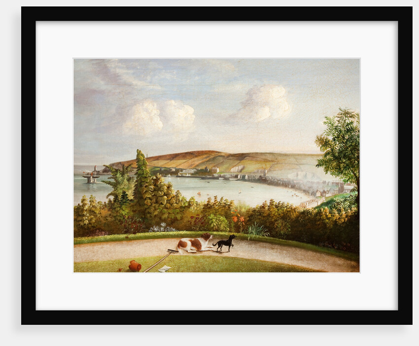 Douglas from Castle Hill Garden by Will Johnson